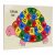 Wooden Tortoise Alphabets Puzzle Tray with Knob – Perfect pegged Puzzles for Kid Learning