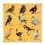 Wooden Colorful Bird Puzzle with Knobs Educational Board for Kids Puzzle- Perfect pegged Puzzles for Kid Learning for Toddler Boys Girls Ages 2+